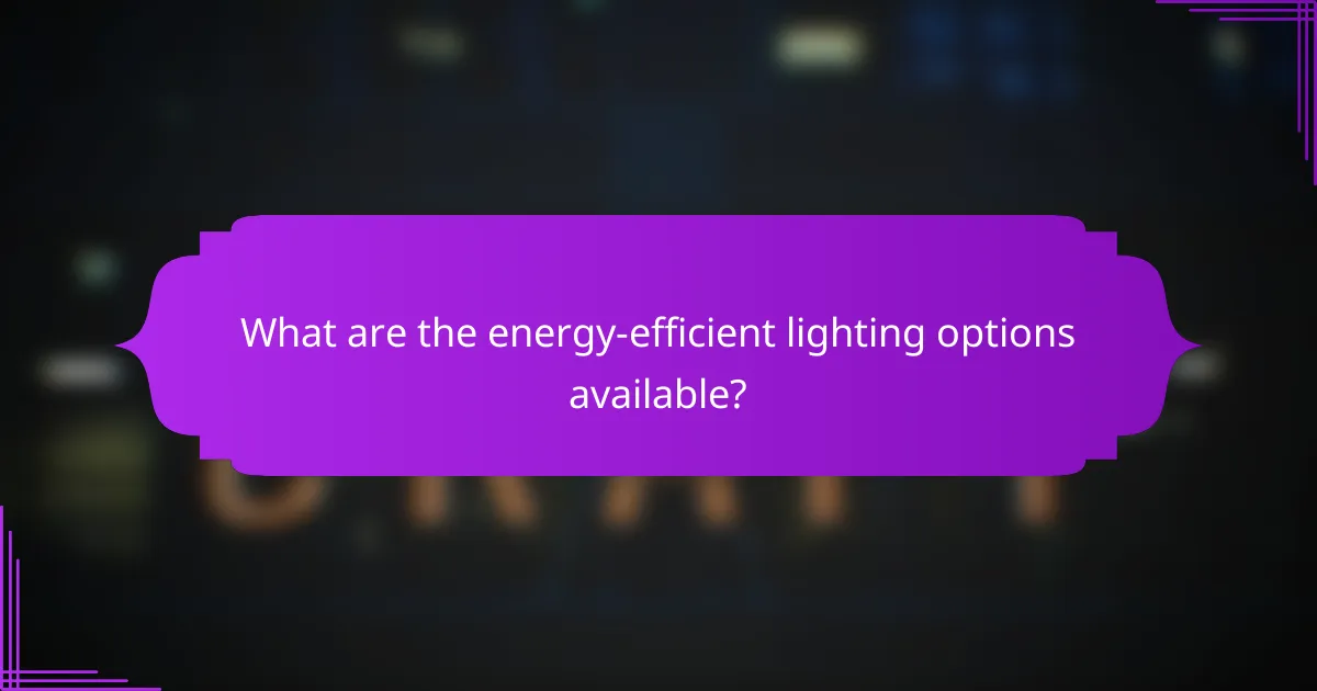 What are the energy-efficient lighting options available?